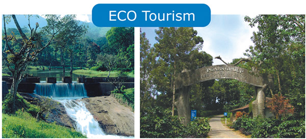 Eco Tourism