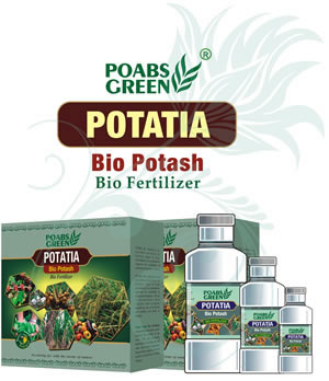 Bio Potash - POTATIA