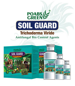 SOIL GUARD